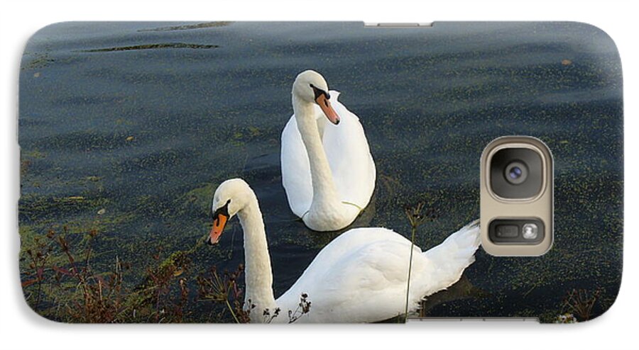 Swans Couple Galaxy S7 Case featuring the photograph Appreciation of Love by Lingfai Leung