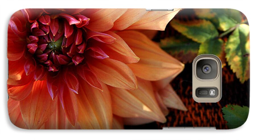 Dahlia Galaxy S7 Case featuring the photograph Autumn Dahlia darling by Jeanette French