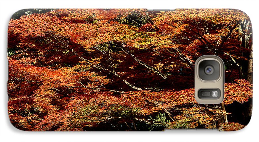 Nature Galaxy S7 Case featuring the digital art Autumn Solarisation 1 by Rudi Prott