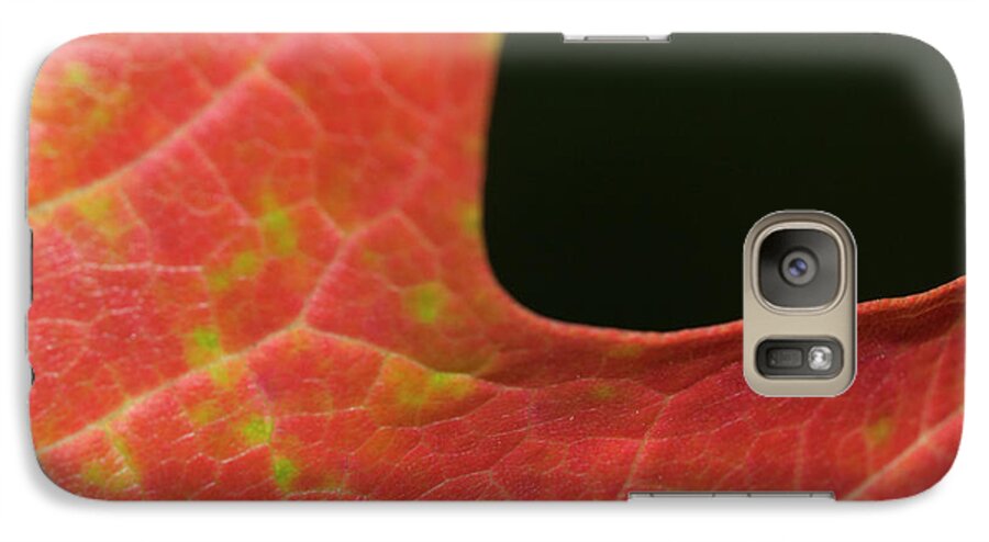 Autumn Galaxy S7 Case featuring the photograph Autumn by Tara Lynn
