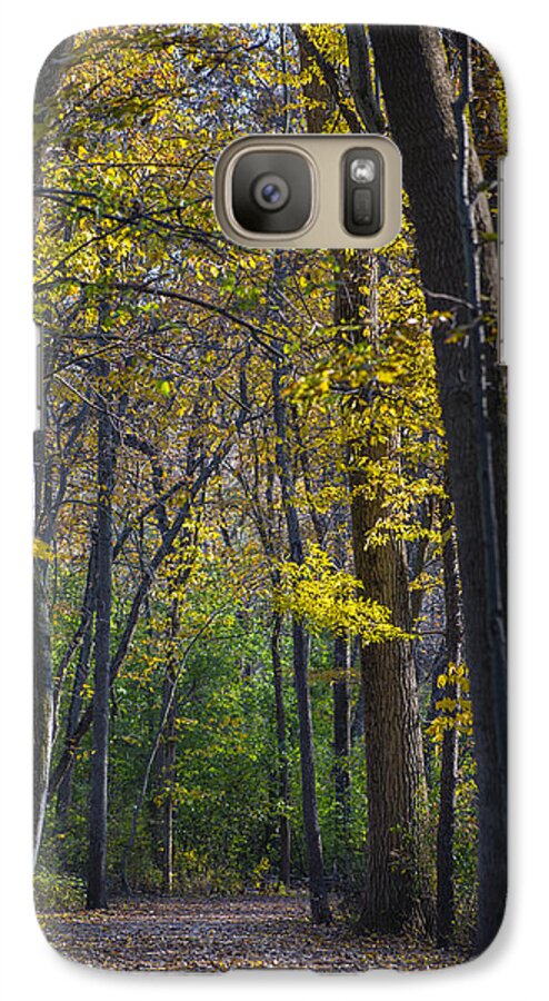Fall Galaxy S7 Case featuring the photograph Autumn Trees Alley by Sebastian Musial