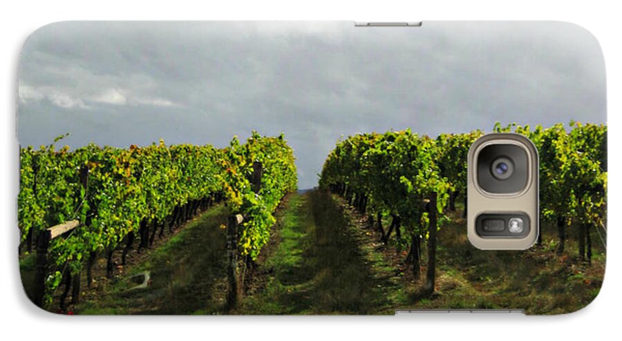 Vineyard Galaxy S7 Case featuring the photograph Autumn Vineyard by Mindy Bench