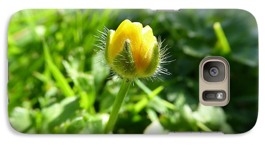Flower Galaxy S7 Case featuring the photograph Baby Buttercup by Laurie Tsemak