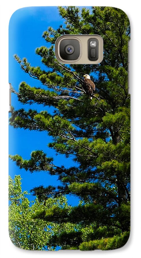 Wisconsin Galaxy S7 Case featuring the photograph Bald Eagle  by Lars Lentz