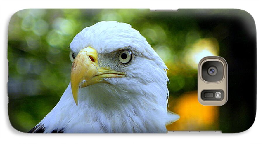 Bald Galaxy S7 Case featuring the photograph Bald Eagle by Terri Mills