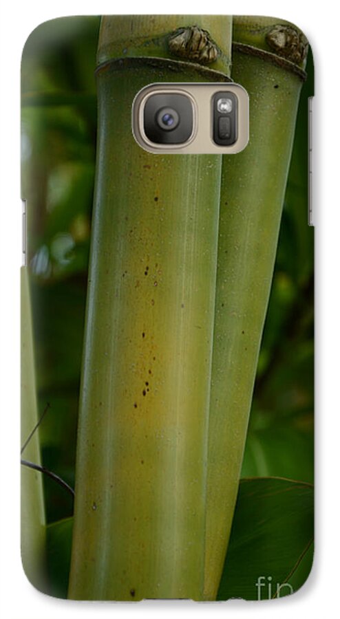 Bamboo Galaxy S7 Case featuring the photograph Bamboo II by Robert Meanor
