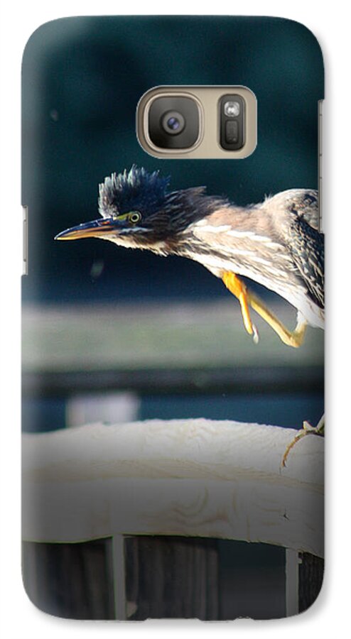 Heron Galaxy S7 Case featuring the photograph Beautiful Green Heron by Anita Oakley