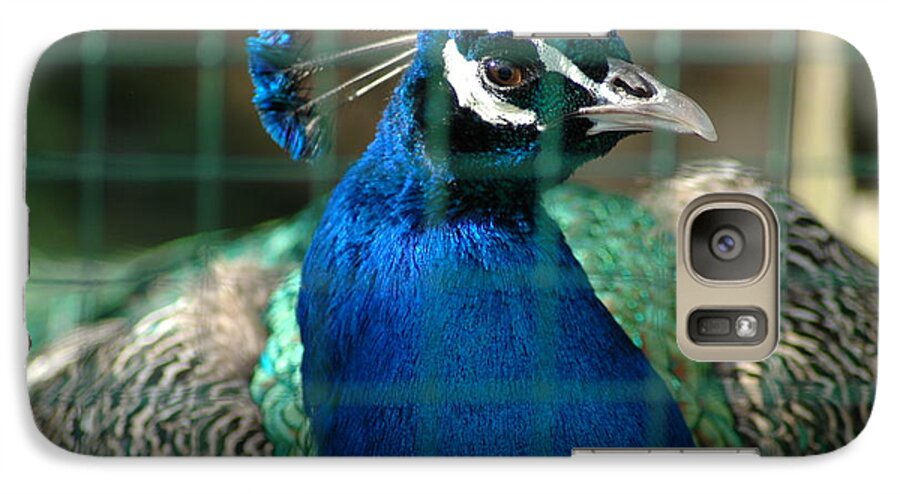 Peacock Galaxy S7 Case featuring the photograph Beauty in Captivity by Randi Grace Nilsberg