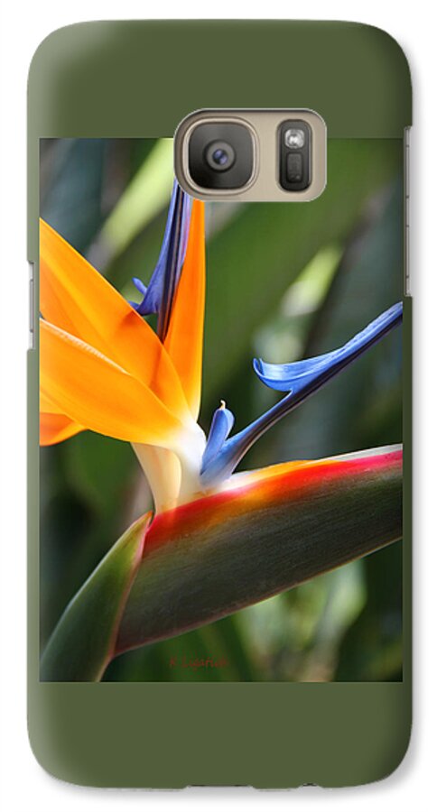 Bird Of Paradise Galaxy S7 Case featuring the photograph Beauty in Paradise by Kerri Ligatich
