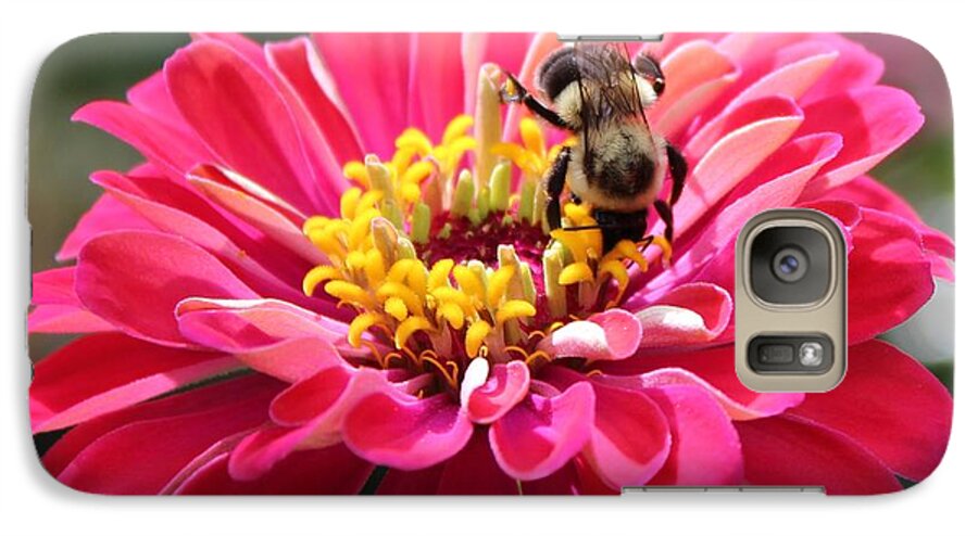 Zinnia Galaxy S7 Case featuring the photograph Bee On Pink Flower by Cynthia Guinn