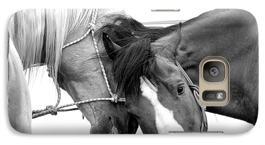 Horses Galaxy S7 Case featuring the photograph Best Friends by Steven Reed