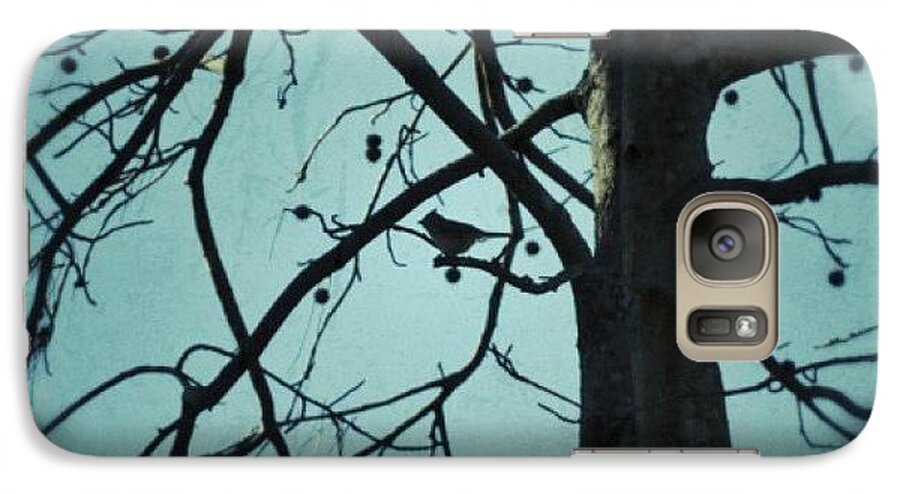 Bird Galaxy S7 Case featuring the photograph Bird in Tree by Tara Potts