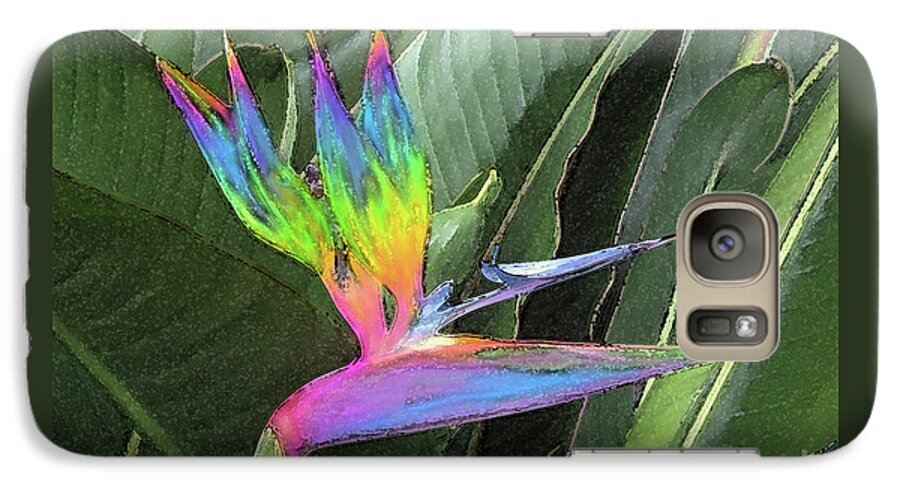 Bird Of Paradise Galaxy S7 Case featuring the photograph Bird ow Paradise by Suzette Kallen