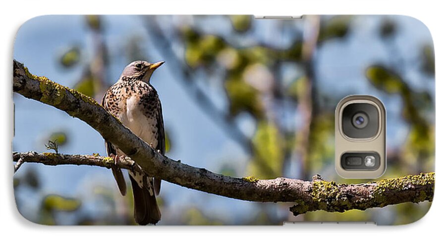 Bird Galaxy S7 Case featuring the photograph Bird Sitting On Brach by Leif Sohlman