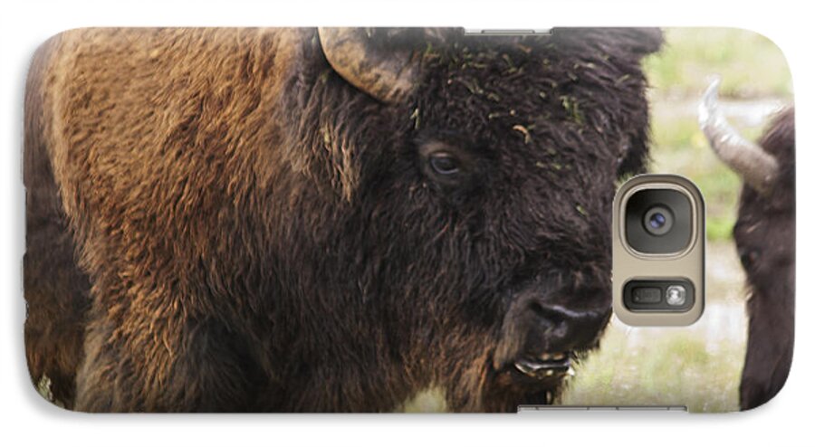 Buffalo Galaxy S7 Case featuring the photograph Bison from Yellowstone by Belinda Greb