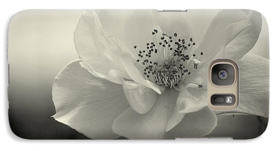 Nature Galaxy S7 Case featuring the photograph Black and White Rose by Amee Cave
