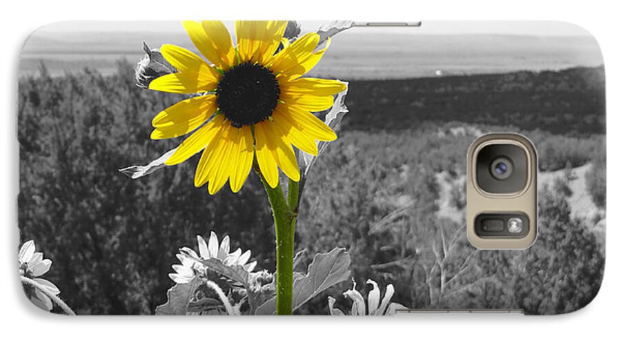 Sunflower Galaxy S7 Case featuring the photograph Black-eyed Susan by Tom DiFrancesca
