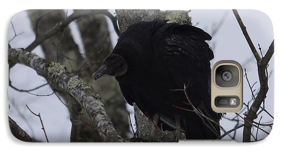 West Virginia Birds Galaxy S7 Case featuring the photograph Black Vulture by Randy Bodkins