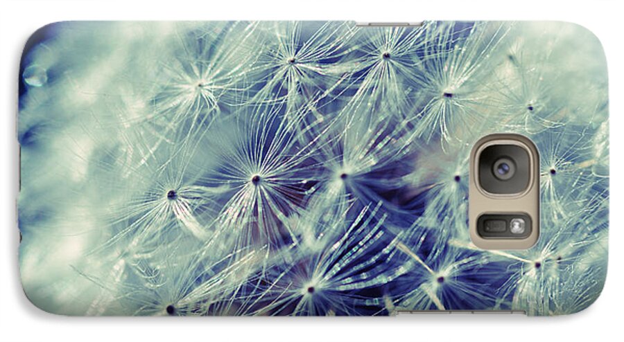 Dandelion Galaxy S7 Case featuring the photograph Blue Dandy by Mindy Bench