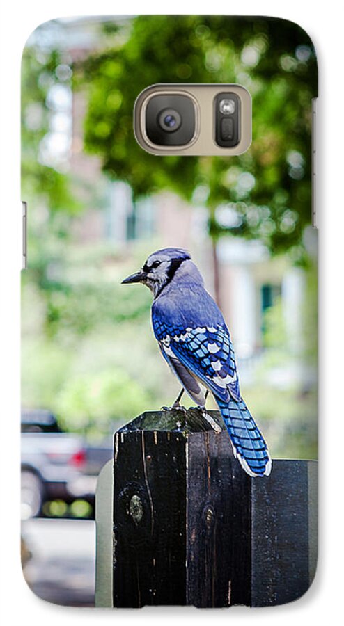 Bird Galaxy S7 Case featuring the photograph Blue Jay by Sennie Pierson