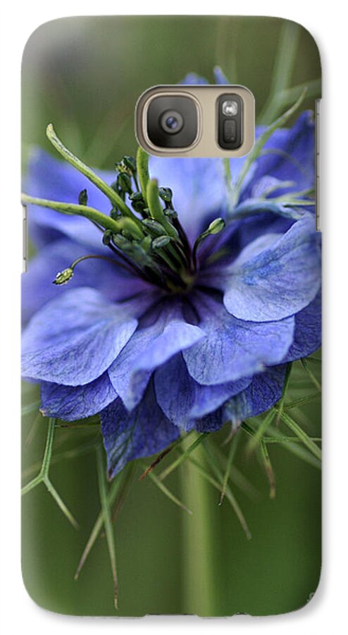 Love In The Mist Galaxy S7 Case featuring the photograph Blue Love by Joy Watson