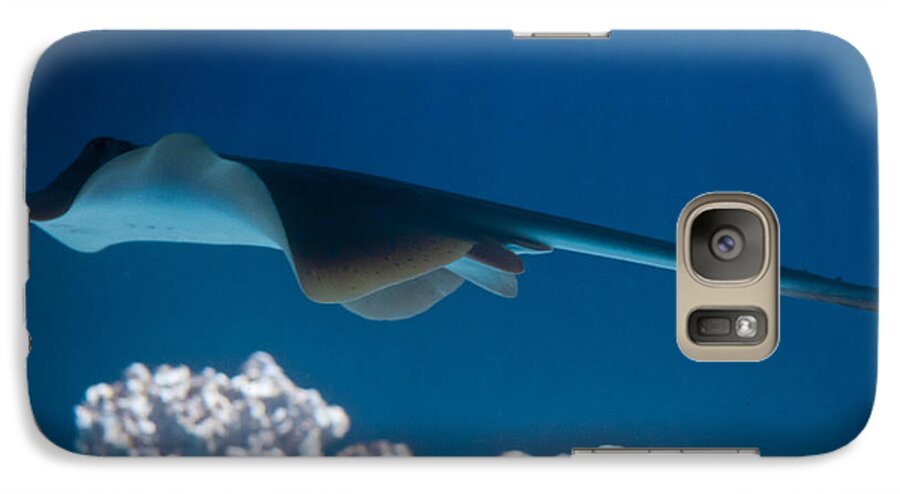 Underwater Galaxy S7 Case featuring the photograph Blue spotted fantail ray by Eti Reid