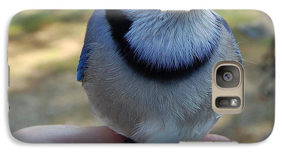 Bird Galaxy S7 Case featuring the photograph Bluejay by Mim White