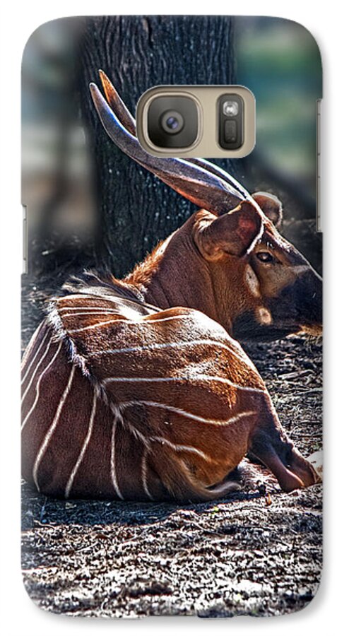 Bongo Galaxy S7 Case featuring the photograph Bongo by Miroslava Jurcik
