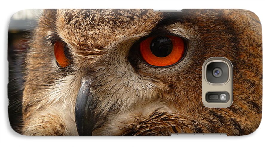 Brown Galaxy S7 Case featuring the photograph Brown Owl by Vicki Spindler