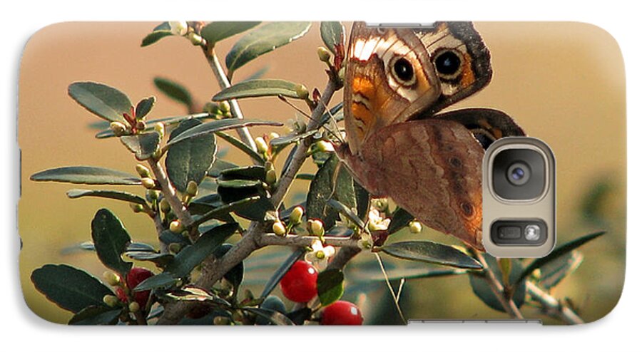 Nature Galaxy S7 Case featuring the photograph Buckeye Beauty by Peggy Urban
