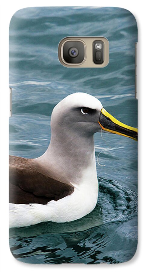 Albatross Galaxy S7 Case featuring the photograph Buller's Albatross (thalassarche Bulleri by Micah Wright