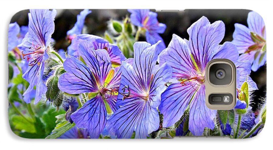 Geranium Galaxy S7 Case featuring the photograph Bunches by Clare Bevan