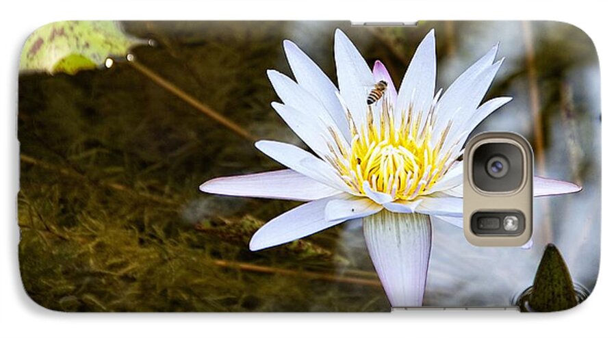 Water Lily Galaxy S7 Case featuring the photograph Busy Bee by Dave Files