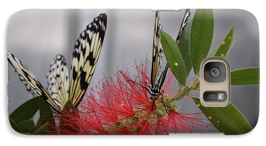 Butterfly Galaxy S7 Case featuring the photograph Butterfly Love by Carla Carson