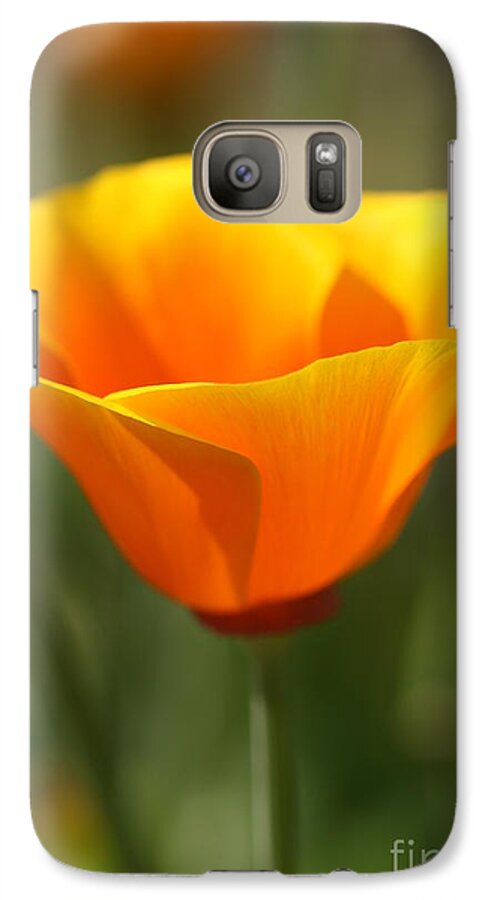 Orange King Poppy Galaxy S7 Case featuring the photograph Californian Poppy by Joy Watson