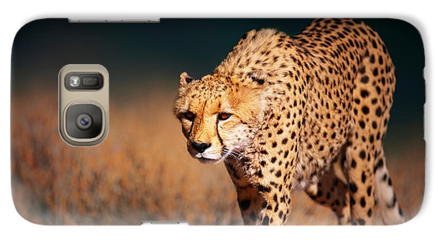 #faatoppicks Galaxy S7 Case featuring the photograph Cheetah approaching from the front by Johan Swanepoel