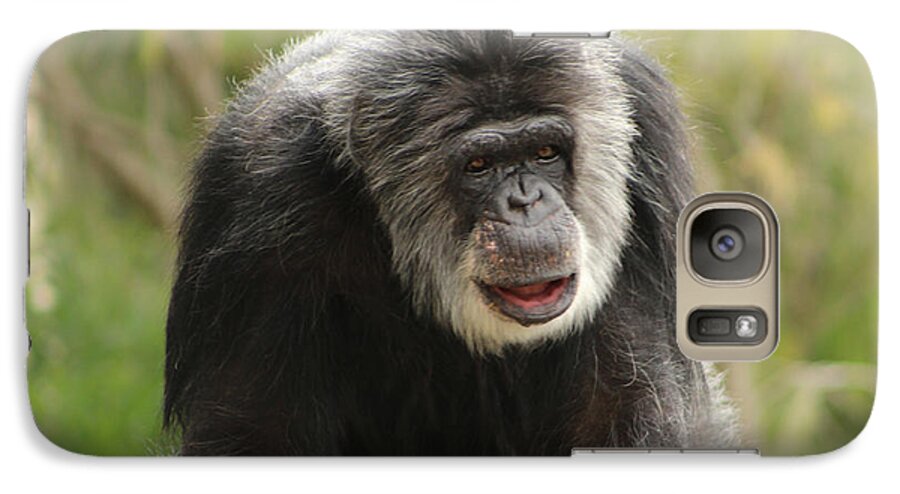 Chimpanzee Galaxy S7 Case featuring the photograph Chimpanzee by Deana Glenz