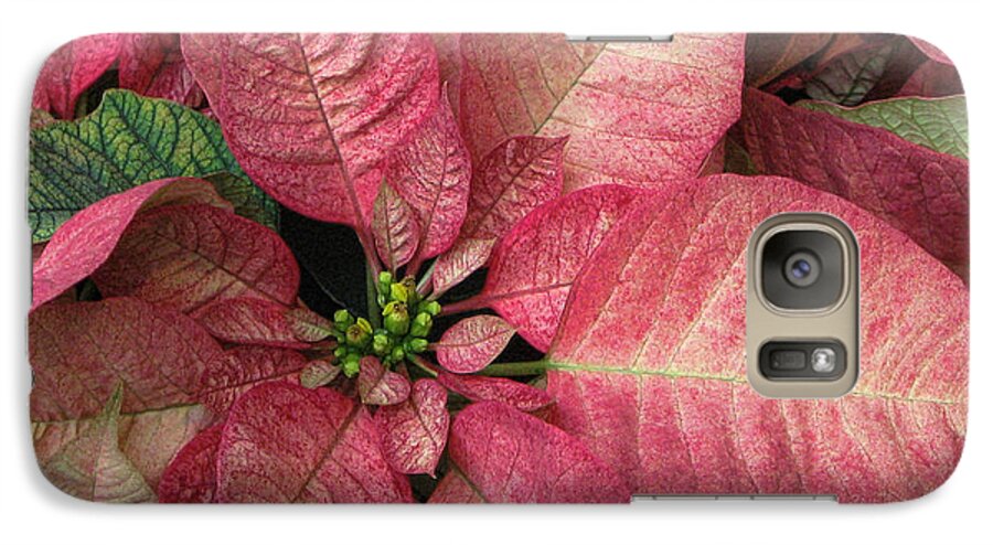 Flower Galaxy S7 Case featuring the photograph Christmas flower by Tammy Espino