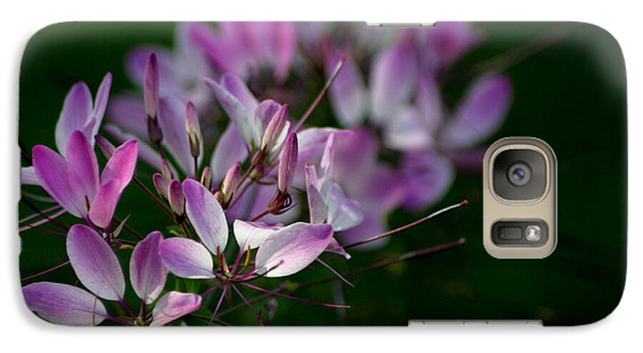 Cleome Galaxy S7 Case featuring the photograph Cleome by Living Color Photography Lorraine Lynch