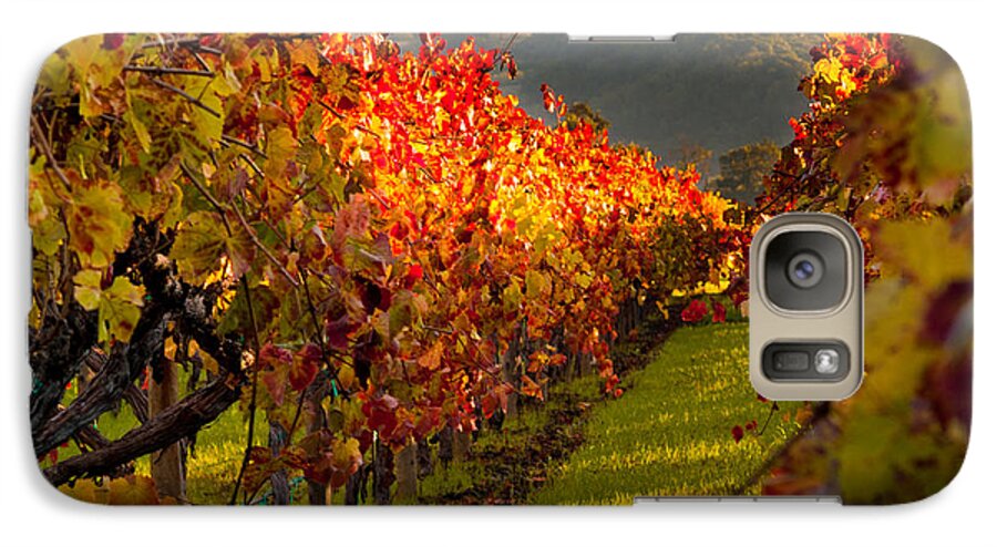 Napa Galaxy S7 Case featuring the photograph Color On the Vine by Bill Gallagher