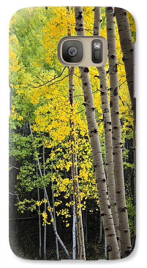 Aspen Galaxy S7 Case featuring the photograph Colorado Changing Two by Eric Rundle