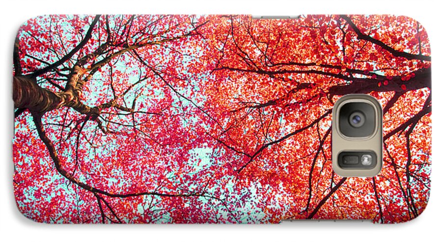 Abstract Galaxy S7 Case featuring the photograph Abstract Red Blue Nature Photography by Nadja Drieling - Flower- Garden and Nature Photography - Art Shop