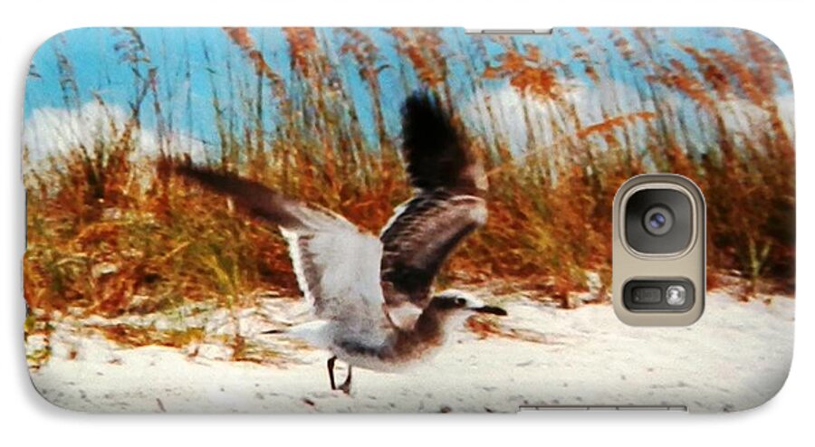 #seagull I Caught Coming In For A Very #windy Galaxy S7 Case featuring the photograph Windy Seagull Landing by Belinda Lee