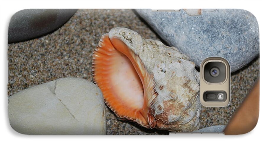 Conch Galaxy S7 Case featuring the photograph Conch 1 by George Katechis