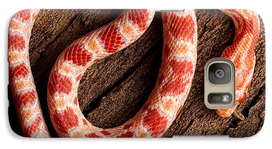 Nature Galaxy S7 Case featuring the photograph Corn Snake P. Guttatus On Tree Bark by David Kenny