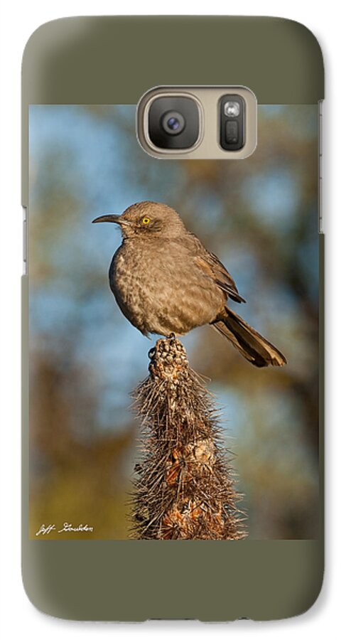Animal Galaxy S7 Case featuring the photograph Curve-Billed Thrasher on a Cactus by Jeff Goulden