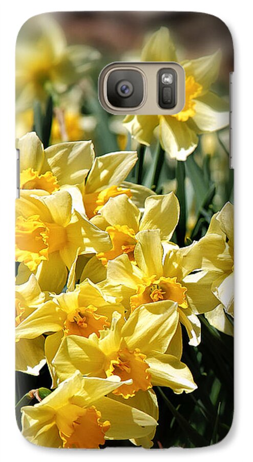 Bouquet Of Daffodils Galaxy S7 Case featuring the photograph Daffodil by Bill Wakeley