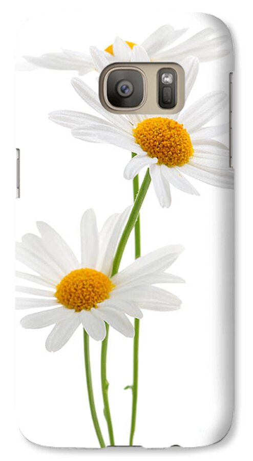 Daisy Galaxy S7 Case featuring the photograph Daisies on white background by Elena Elisseeva