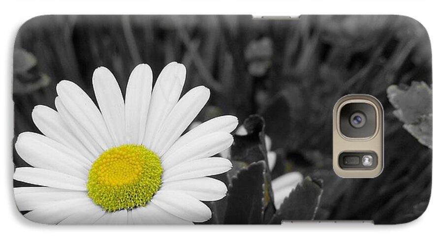 Daisy Galaxy S7 Case featuring the photograph Daisy by Chad and Stacey Hall
