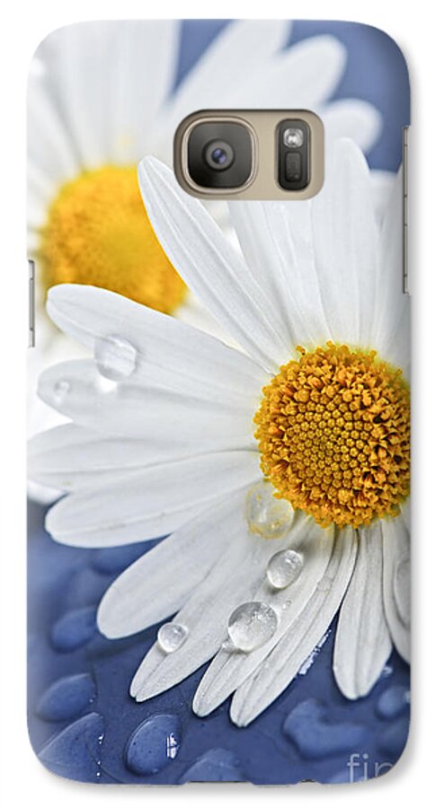 Flower Galaxy S7 Case featuring the photograph Daisy flowers with water drops by Elena Elisseeva